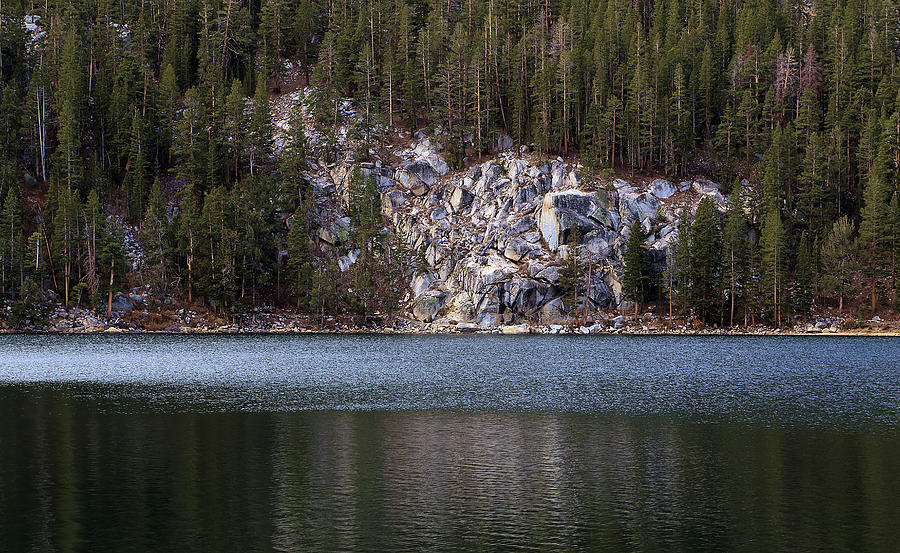 Forest Meets Lake Photograph by Viktor Savchenko