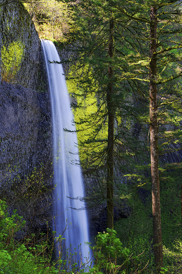 Waterfall Photograph - Forest Mist by Chad Dutson
