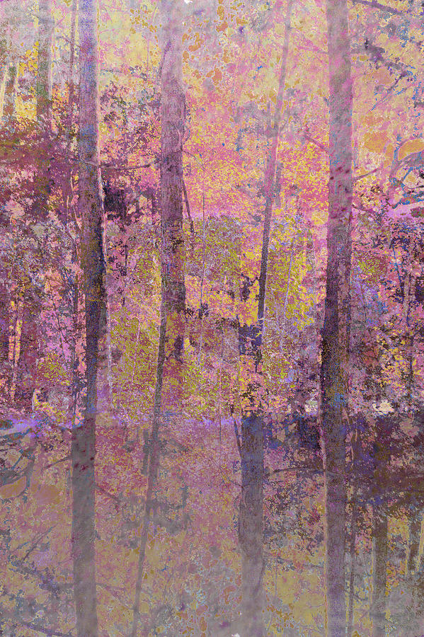 Forest Morning Light Mauve Photograph by Suzanne Powers