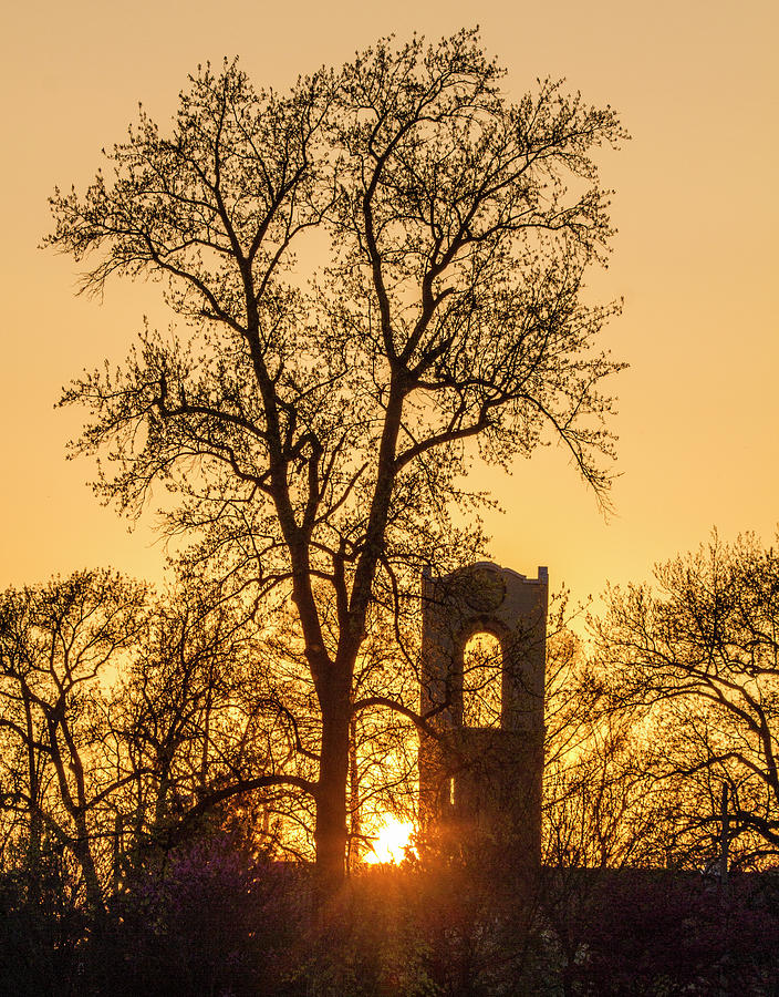 Forest Park visitor center tower at sunset Photograph by Garry McMichael