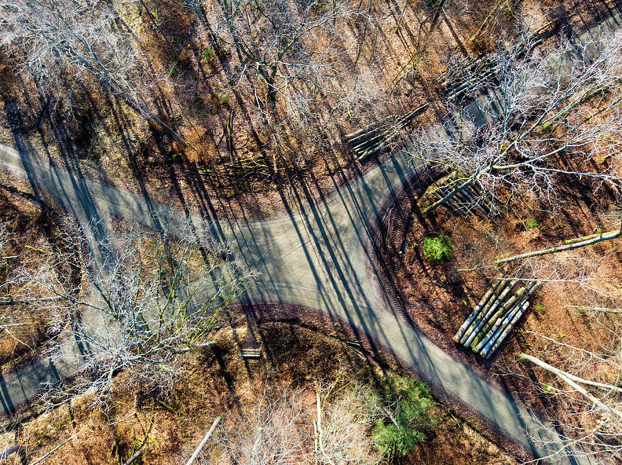 Tree Photograph - Forest Path Crossroad from above Drone Photography by Matthias Hauser