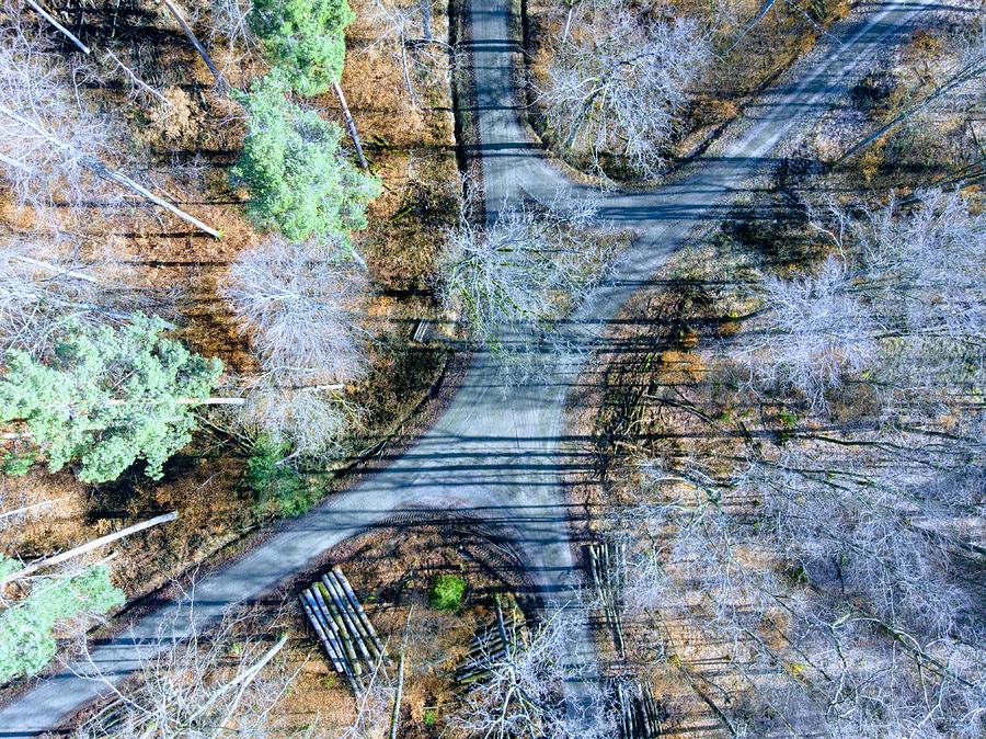 Forest path from above cool drone photo Photograph by Matthias Hauser