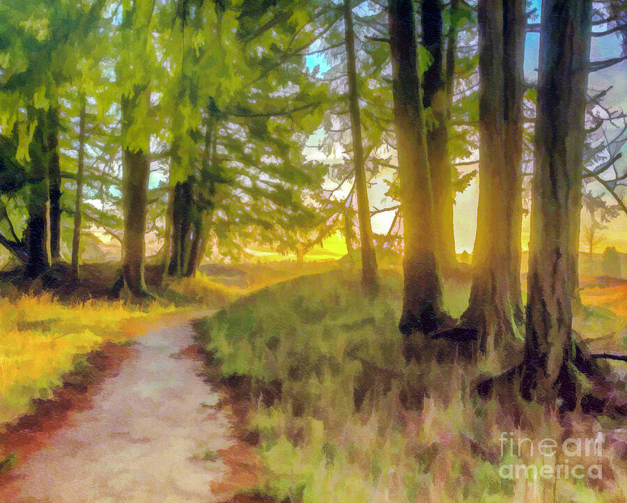 Forest Path Digital Art by Jean OKeeffe Macro Abundance Art