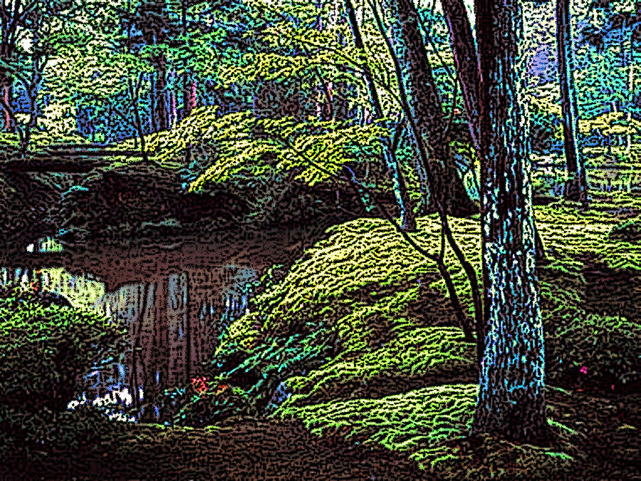 Forest Pond Digital Art by Ben Freeman