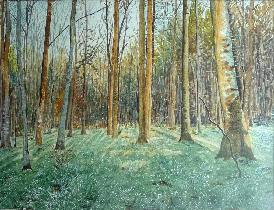 Forest Drawing by Rashid Hamza