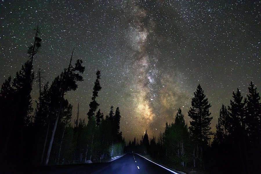 Forest Road Milky Way Night Cruising Photograph by James BO Insogna