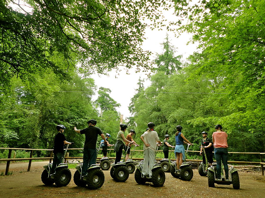 Forest Segway Photograph