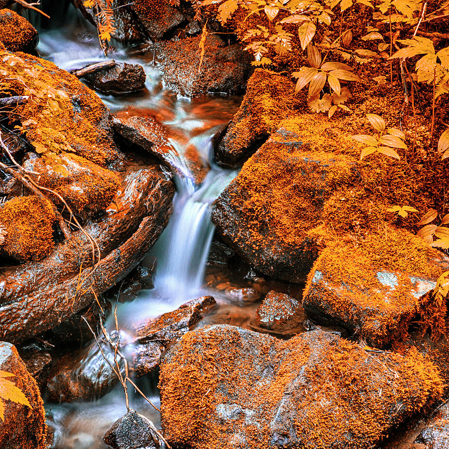 Tranquil Cascade - Indian Summer Photograph by Stephen Stookey