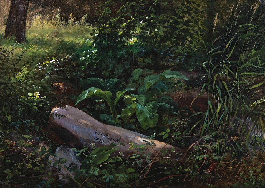 Forest Study from Grosser Garten in Dresden Painting by Johan Christian Dahl