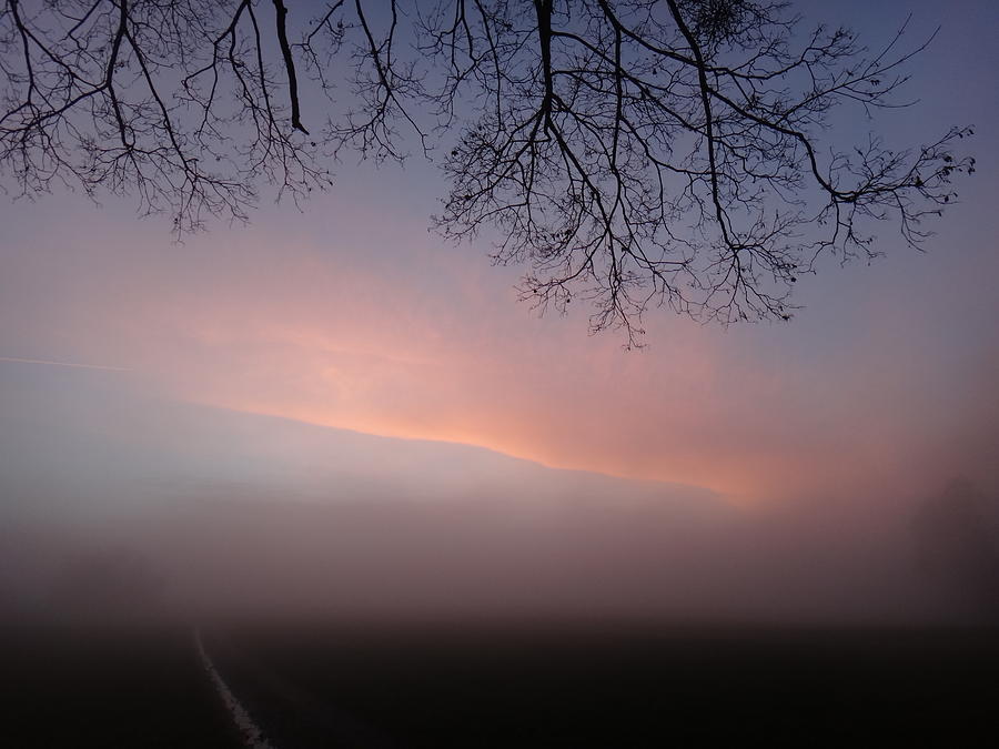 Sunset Photograph - Forest Sunset in Fog by Two Small Potatoes Sunset Photograph - Forest Sunset in Fog by Two Small Potatoes