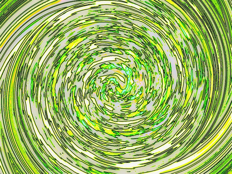 Forest Swirl Photograph by Andy Rhodes