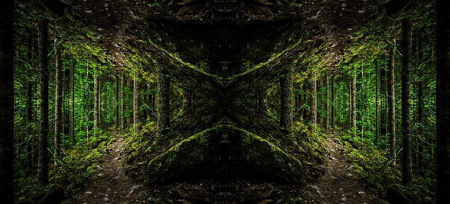 Nature Digital Art - Forest Trail Crossing Guard by Pelo Blanco Photo