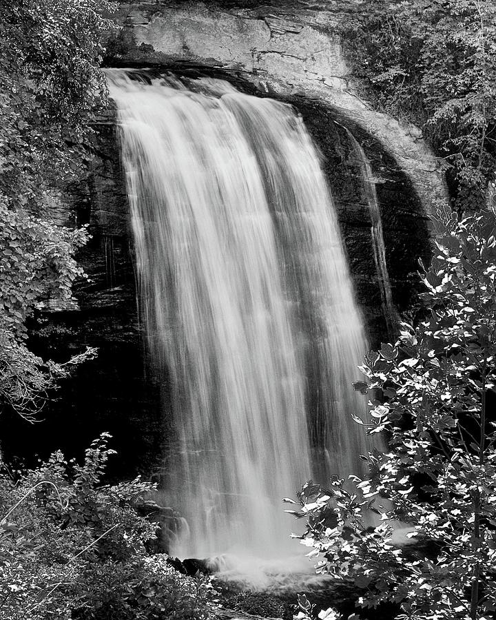 Forest Waterfall by Ann Keisling Forest Waterfall by Ann Keisling