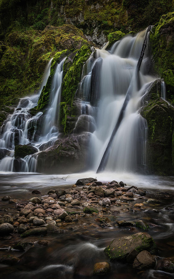 Forest Waterfall Photograph by Chris McKenna