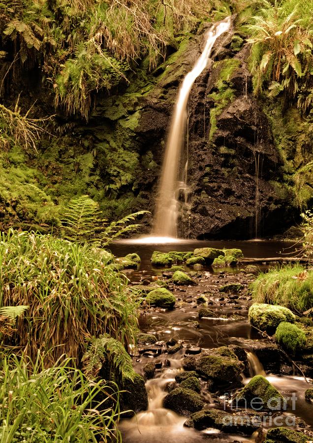 Forest Waterfall Photograph by Martyn Arnold
