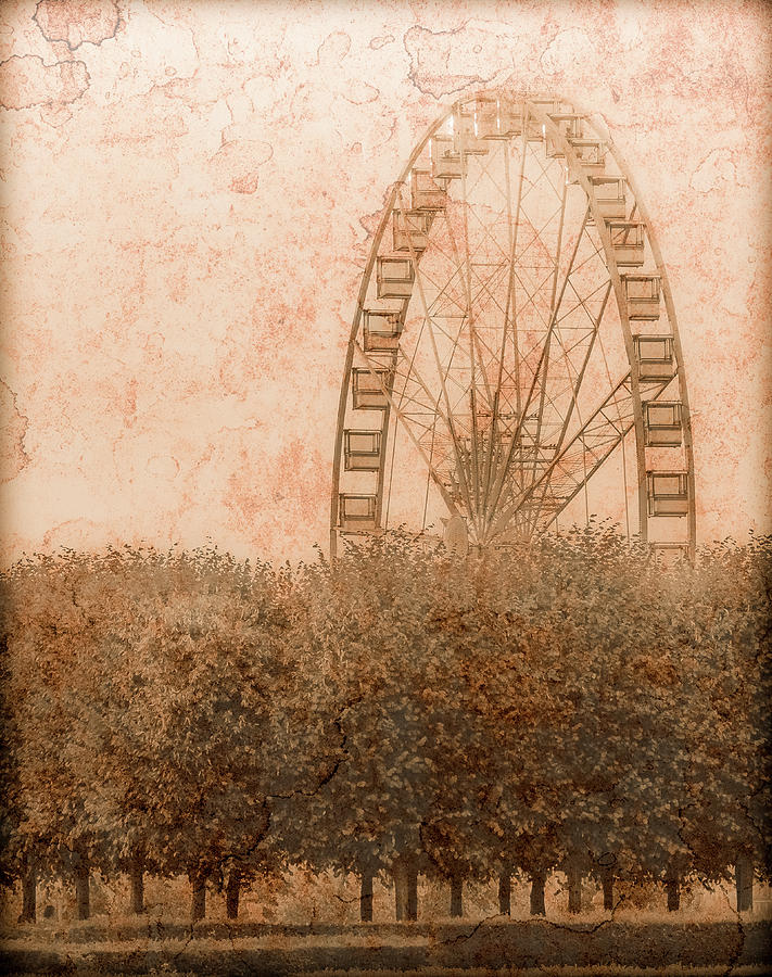 Paris, France - Forest Wheel Photograph by Mark Forte