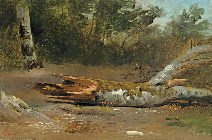Forest with Tree Trunk, LJsle, 1833 Painting by Francois Diday