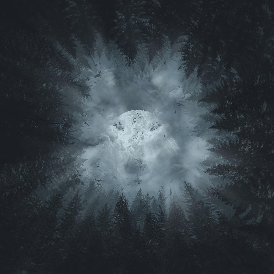 Forest Wolf Digital Art by Bekim M