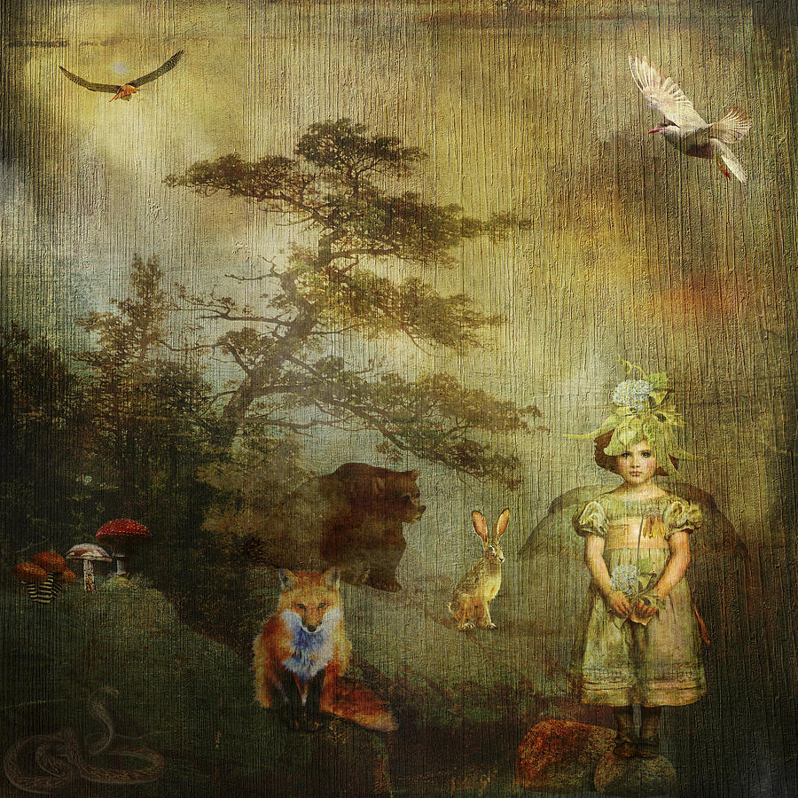 Forest Photograph - Forest Wonderland by Diana Boyd Forest Photograph - Forest Wonderland by Diana Boyd