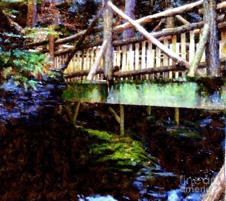 Forest wooden bridge Photograph by Janine Riley