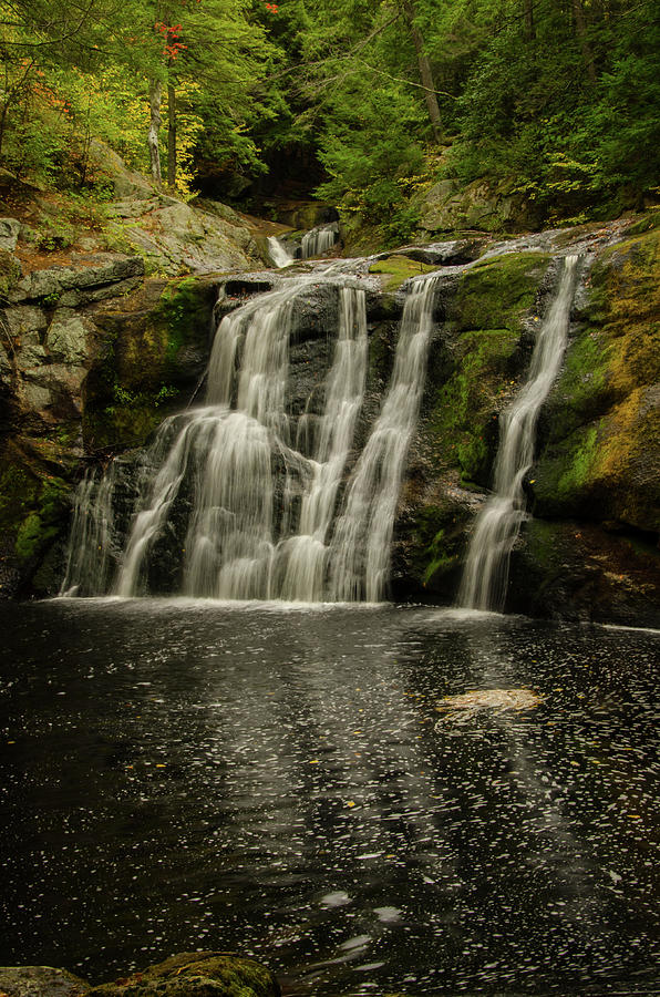Forest Waterfall Photograph by Gales Of November