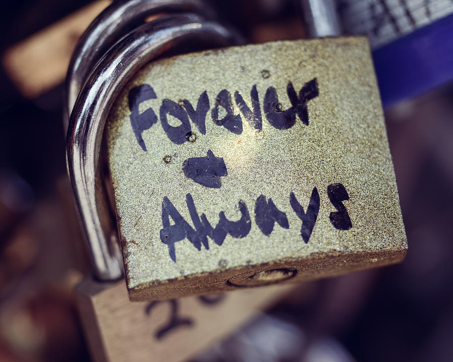 Forever and Always Paris Love Lock Photograph by Nicole Freedman