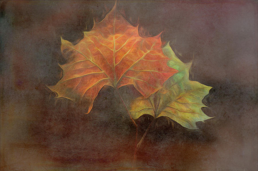 Forever Autumn Mood Photograph by Debra and Dave Vanderlaan