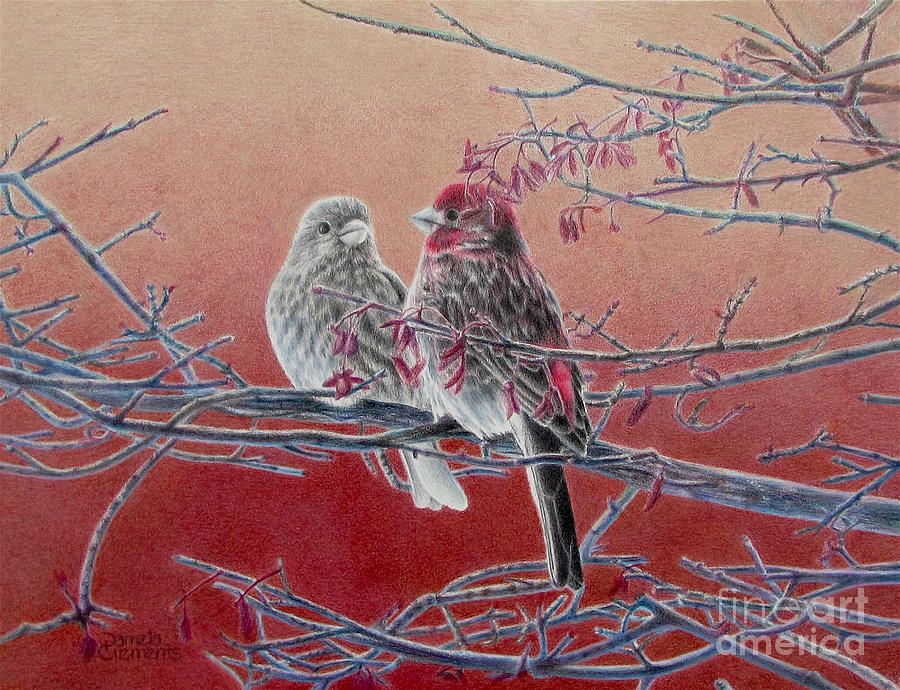 Forever Finch Painting by Pamela Clements