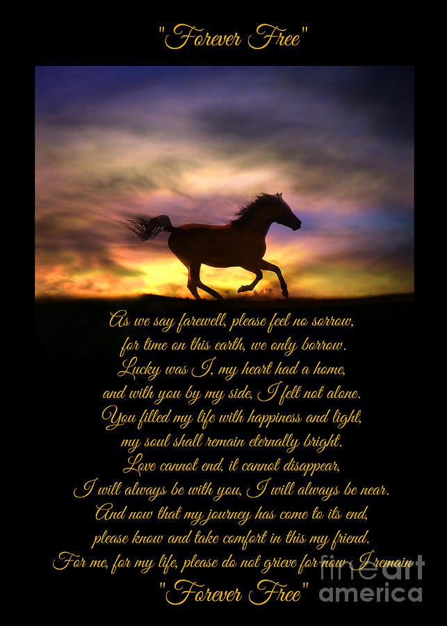Forever Free Horse Memorial Card and Art With Original Poem Photograph by Stephanie Laird