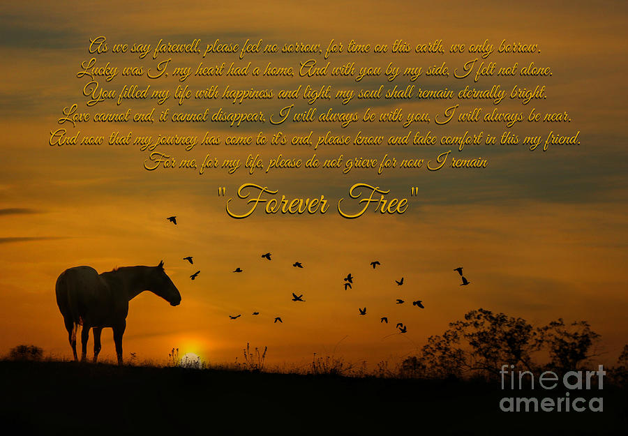 Forever Free Horse Memorial Tribute Photograph by Stephanie Laird
