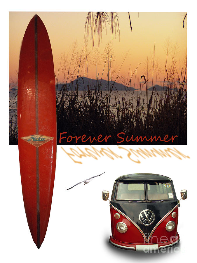 Forever Summer 1 Photograph by Linda Lees