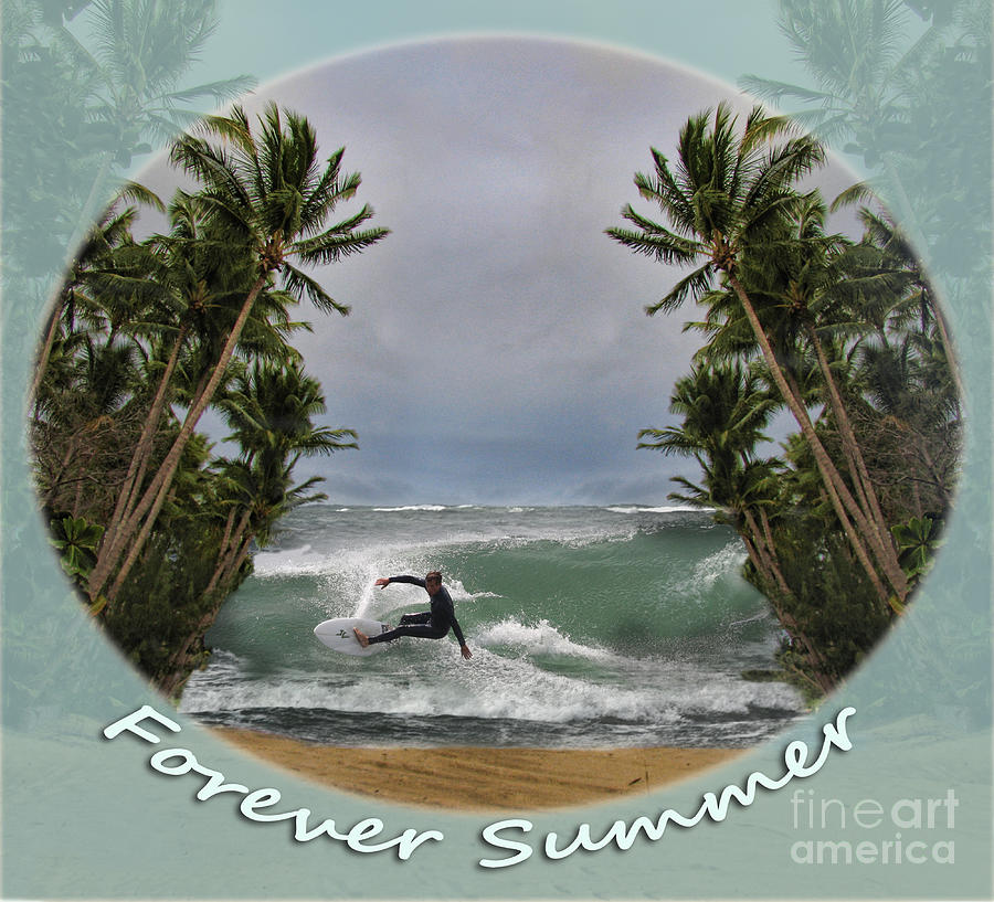 Forever Summer 2 Photograph by Linda Lees