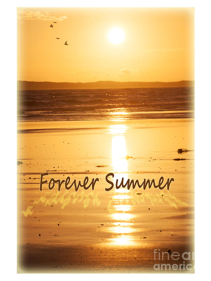 Forever Summer 4 Photograph by Linda Lees