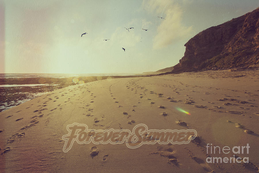 Forever Summer 9 Photograph by Linda Lees