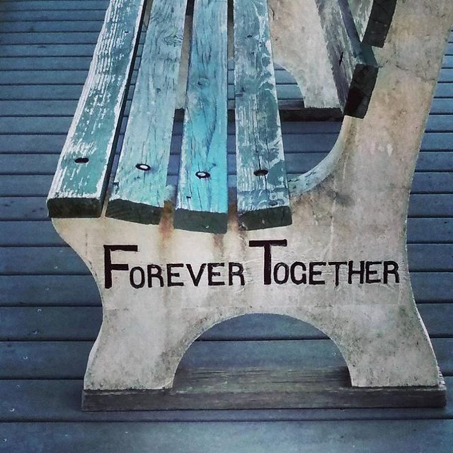Forever Photograph - Forever Together  by Colleen Kammerer