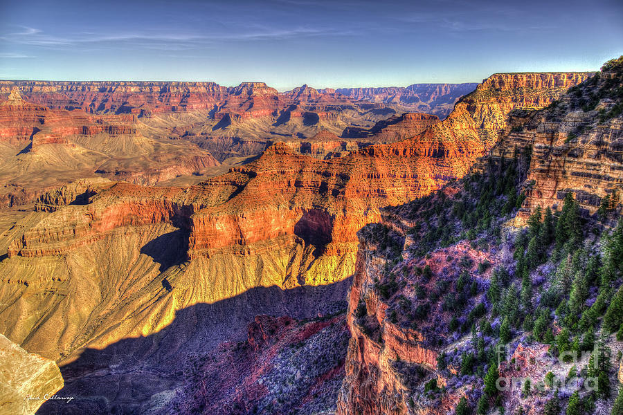 Forever Young Grand Canyon National Park Arizona Art  Photograph by Reid Callaway