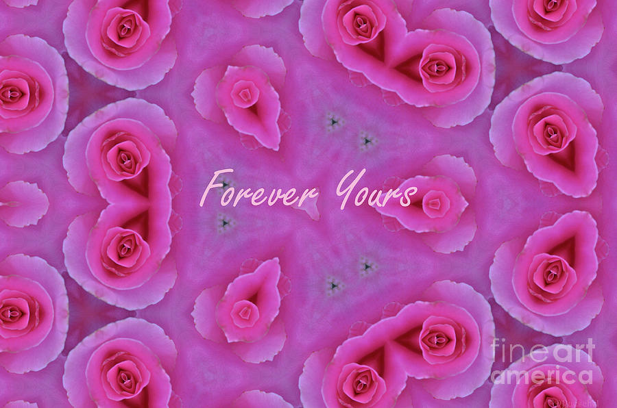 Forever Yours Photograph by Debby Pueschel