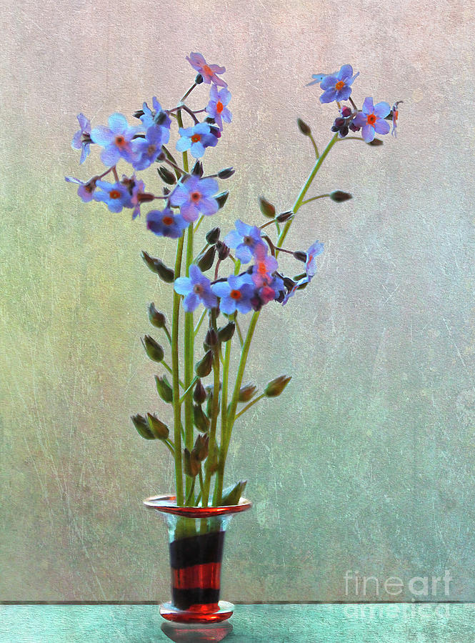 Forget Me Not Flower Arrangement Photograph by Nina Silver