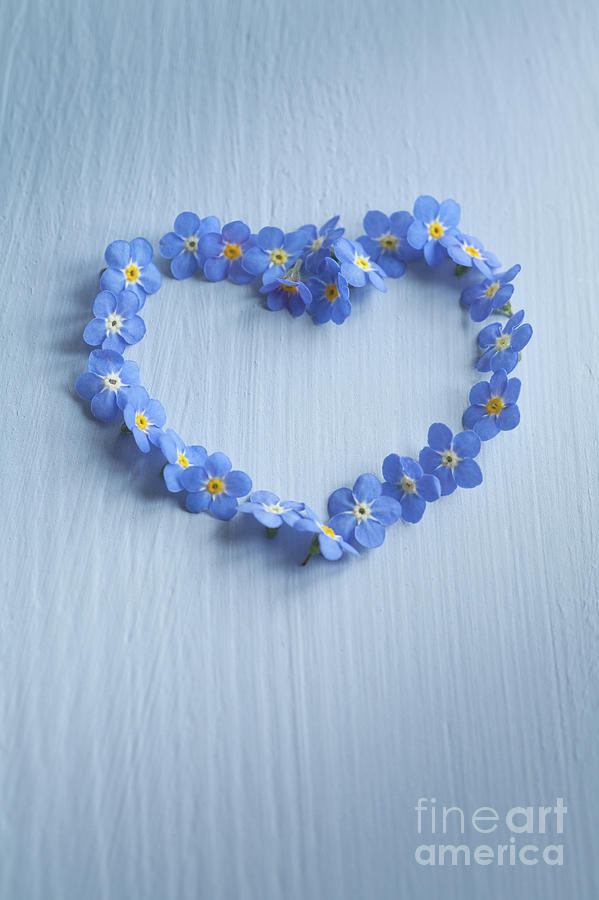 Forget Me Not Heart Photograph by Jan Bickerton