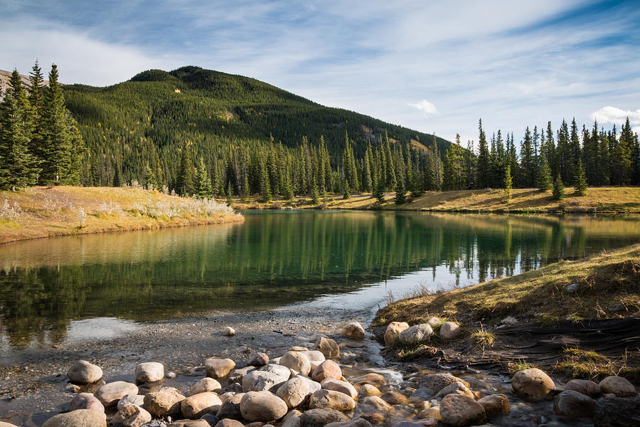 Forgetmenot Pond Photograph by Cory Huchkowski - Fine Art America