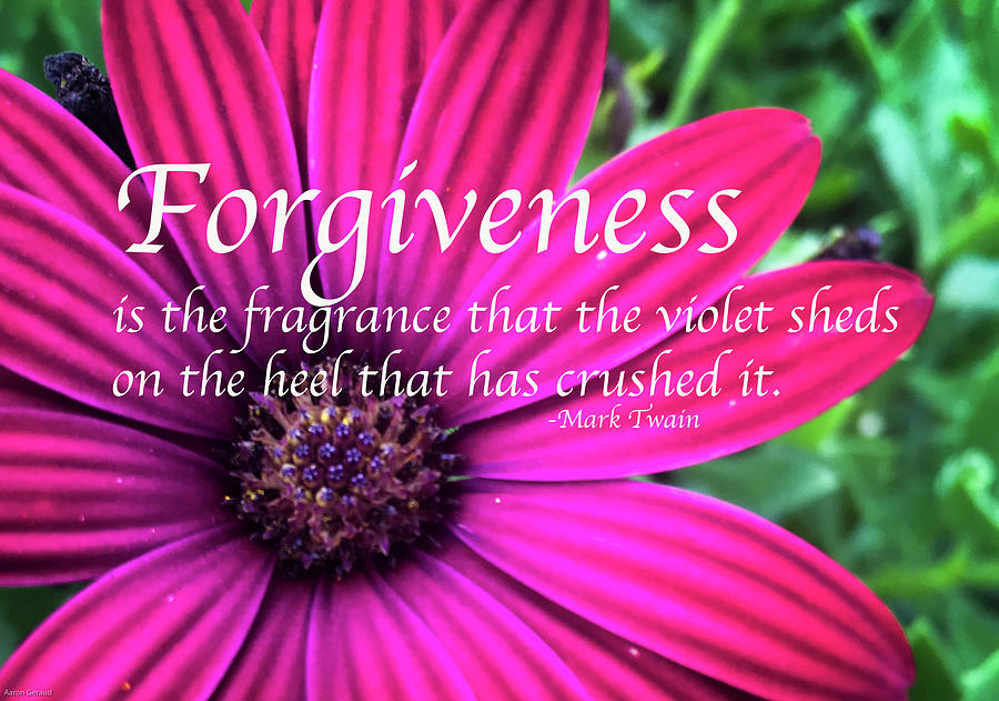 Forgiveness Photograph by Aaron Geraud