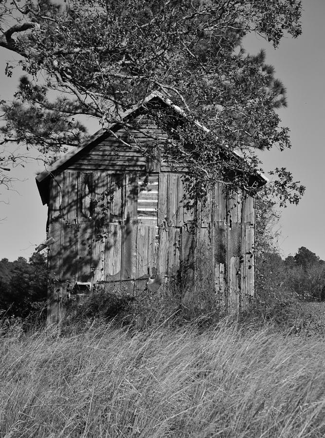 Forgotten Barn Photograph by Cynthia Guinn