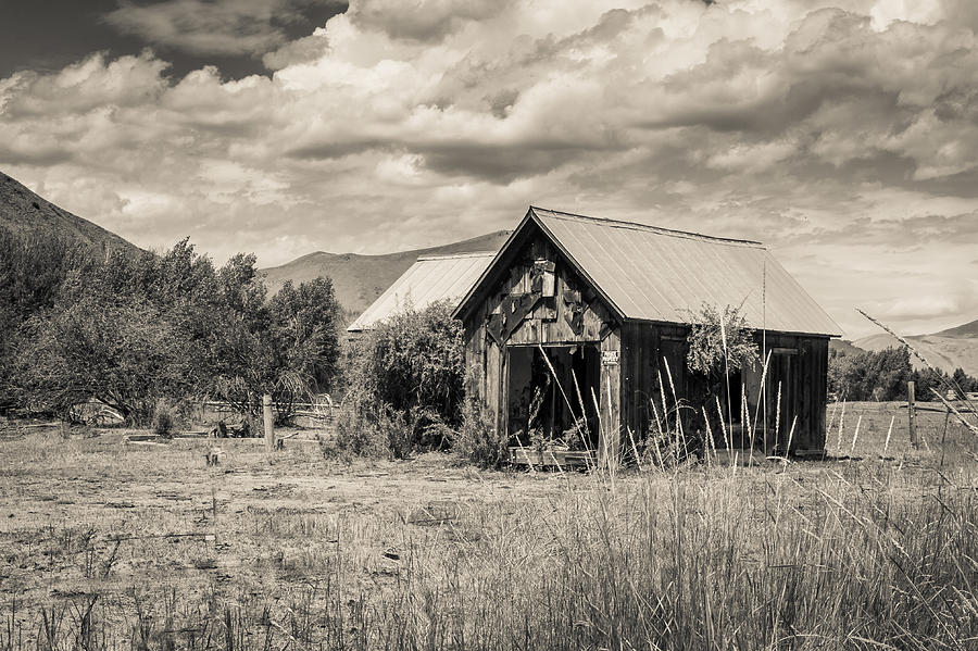 Forgotten Barn Photograph by Dave Hall