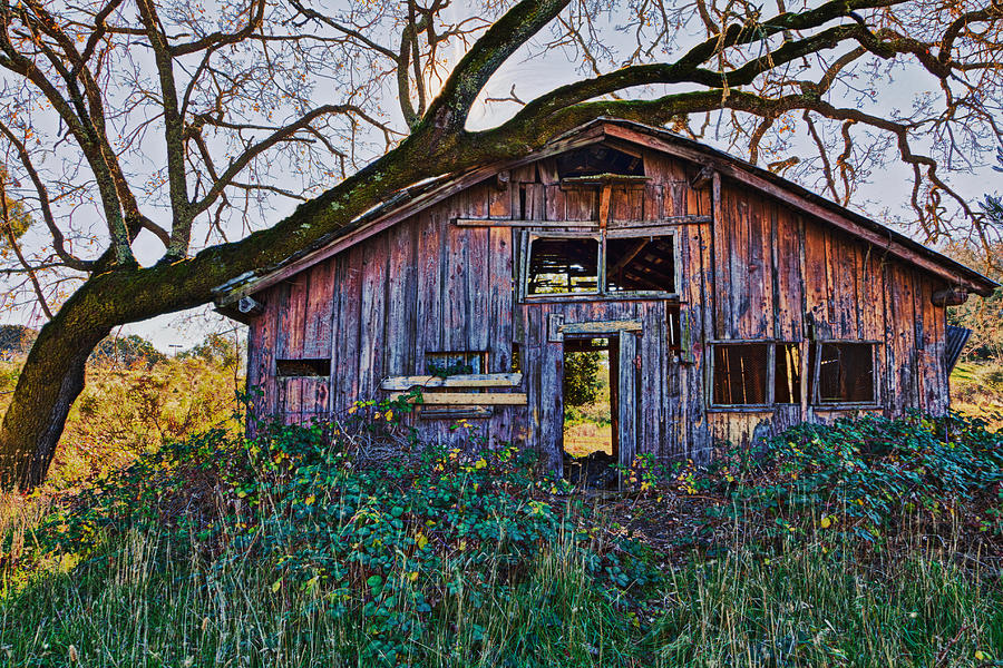 Barn Photograph - Forgotten Barn by Garry Gay