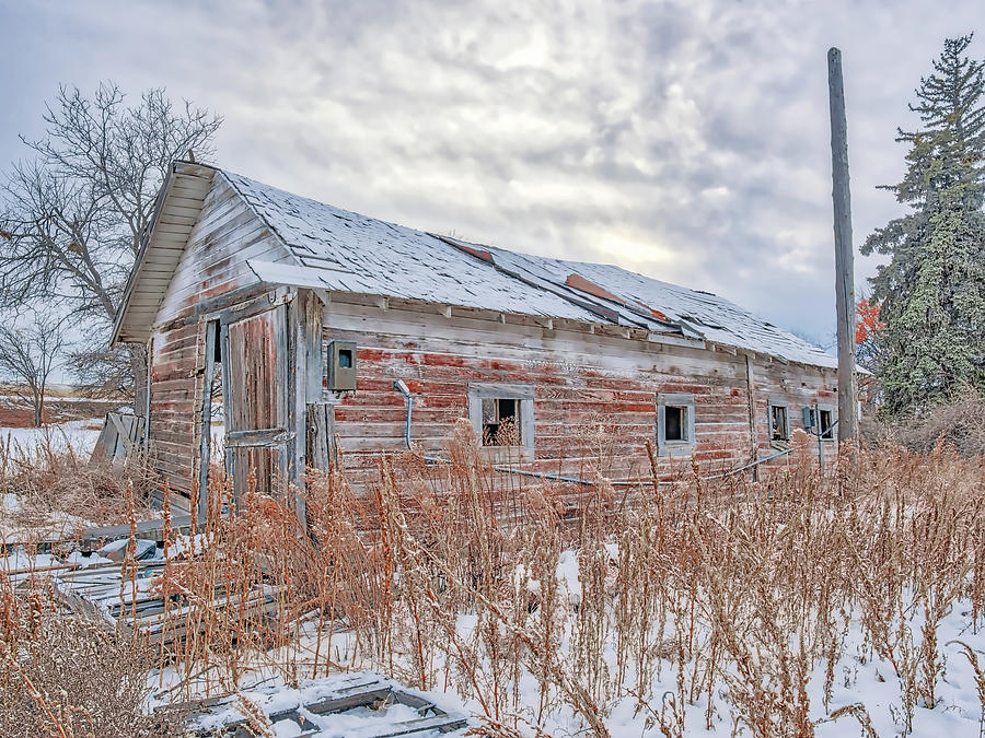 Forgotten Barn Photograph by Jennifer Grossnickle
