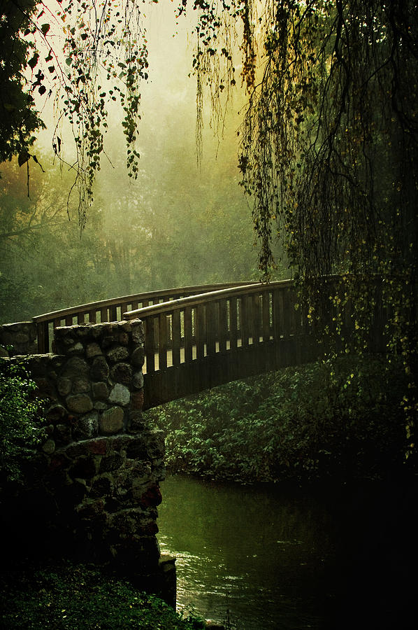 Tree Photograph - Forgotten Bridge by Jaroslaw Blaminsky