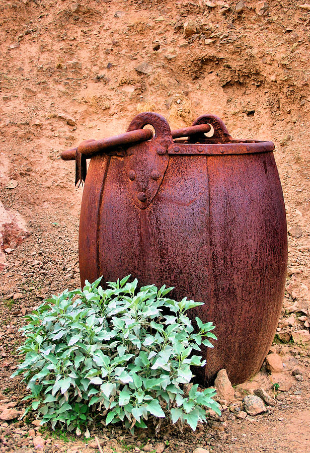 Forgotten Bucket Photograph by Kristin Elmquist