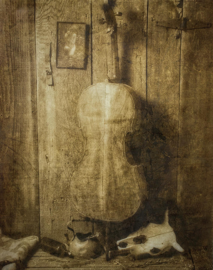 Forgotten Cello Photograph by Garry Gay