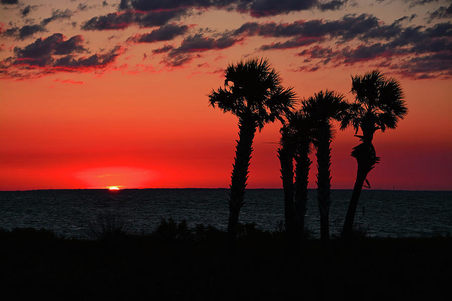 Forgotten Coast Sunset - Eastpoint, Florida Photograph by Ben Prepelka