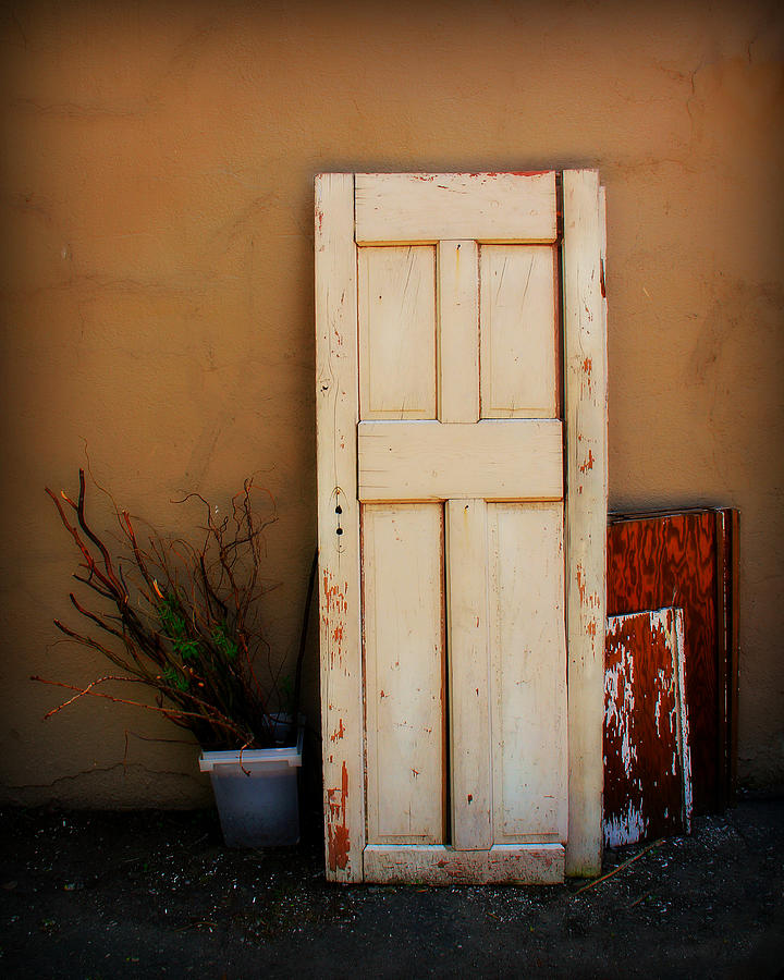 Forgotten Door Photograph by Perry Webster